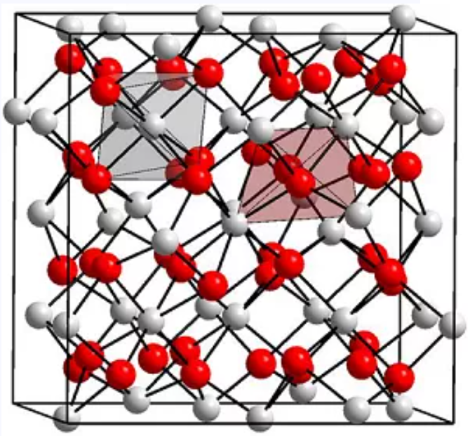 QQ圖片20211112102511 QQ圖片20211112102511
