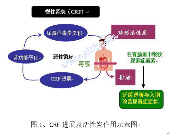 fig1-CRF進(jìn)展及活性炭作用示意圖 fig1-CRF進(jìn)展及活性炭作用示意圖